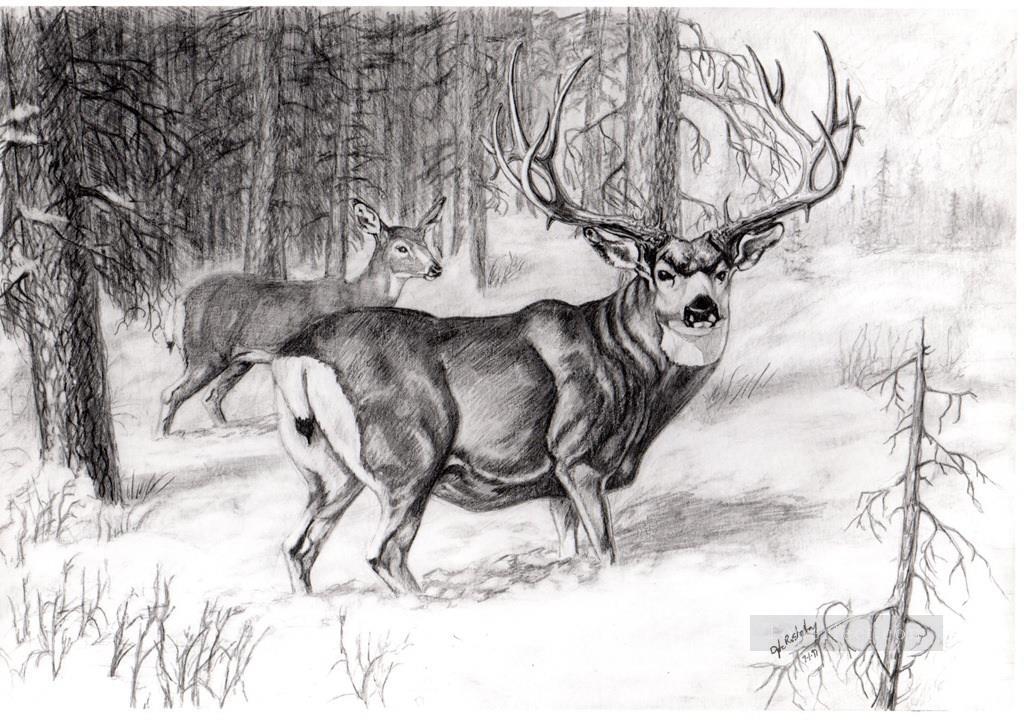 deer pencil drawing black and white Oil Paintings